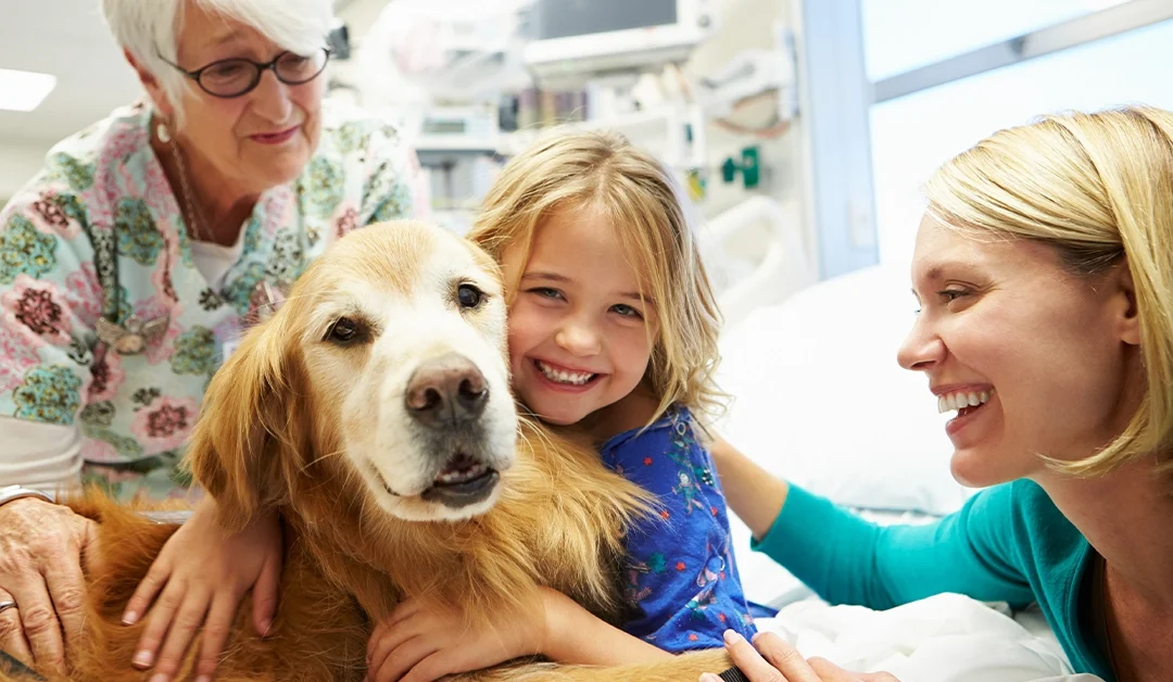 Therapy Dog