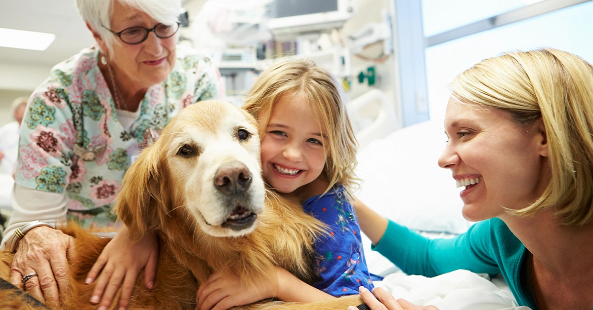Therapy Dogs