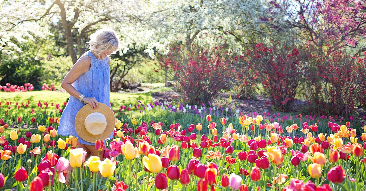 Summer Garden